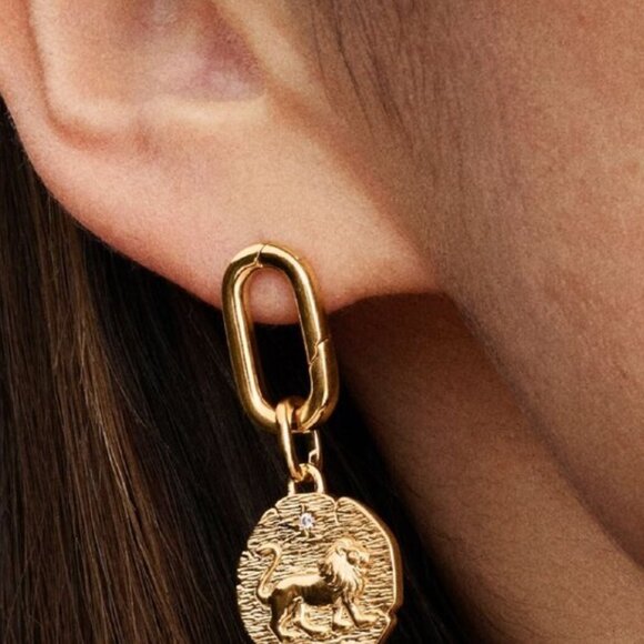 Pandora Lion Medallion Charm - Picture 4 of 6